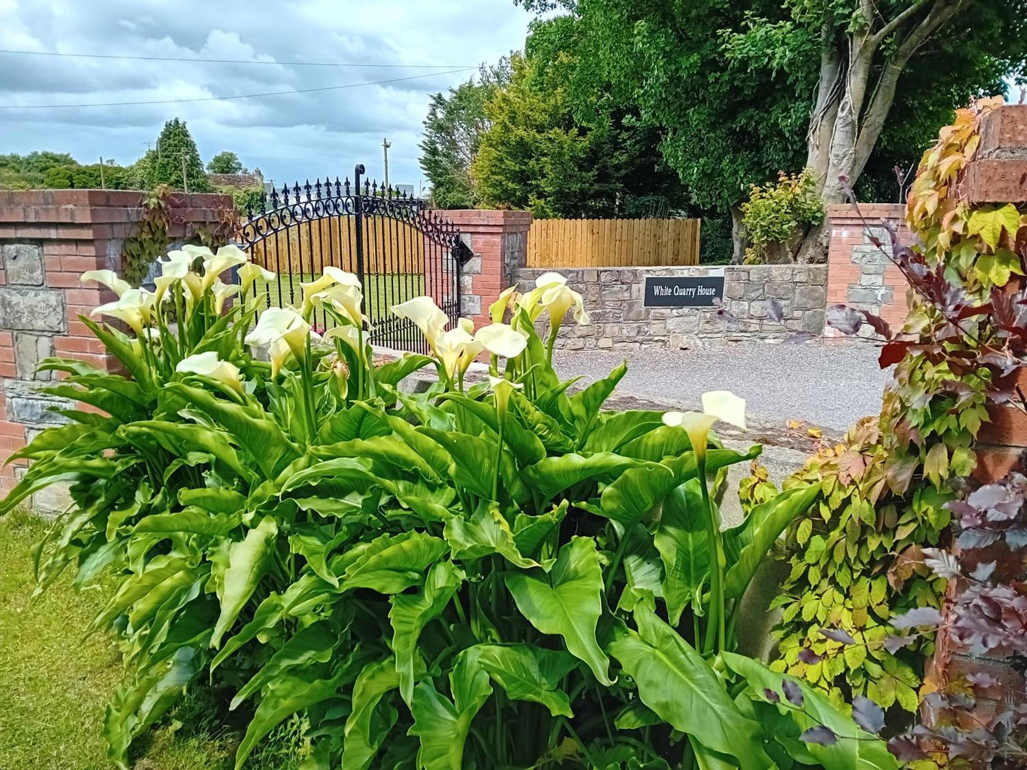 White Quarry House Apartamento Navan Exterior foto