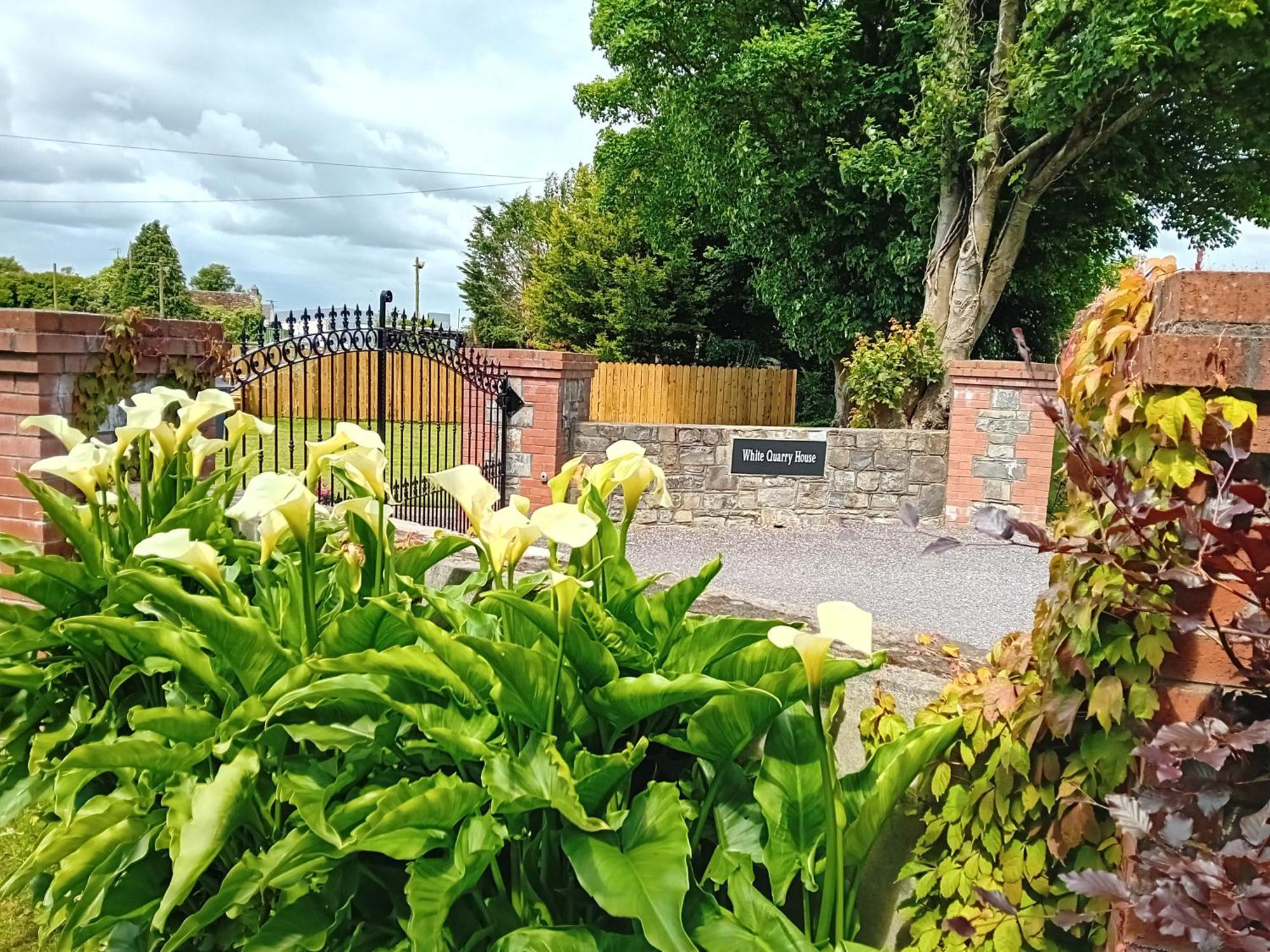 White Quarry House Apartamento Navan Exterior foto
